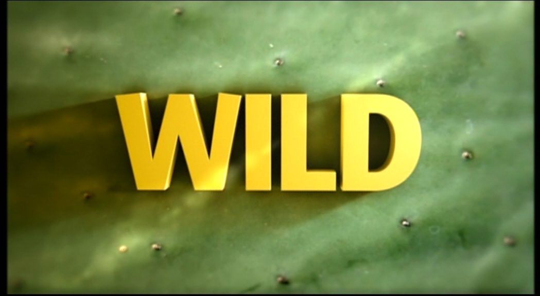Nat Geo Wild: 2013 Idents & Presentation | Presentation Archive