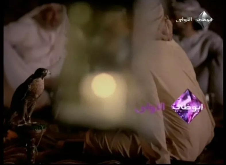 Abu Dhabi TV